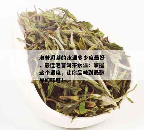 泡普洱茶的水温多少度更好，更佳泡普洱茶水温：掌握这个温度，让你品味到最醇厚的味道！