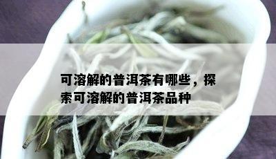 可溶解的普洱茶有哪些，探索可溶解的普洱茶品种