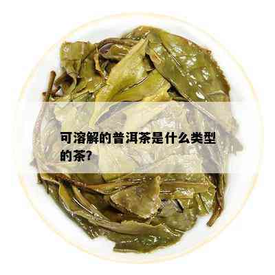 可溶解的普洱茶是什么类型的茶？