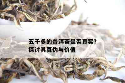 五千多的普洱茶是否真实？探讨其真伪与价值