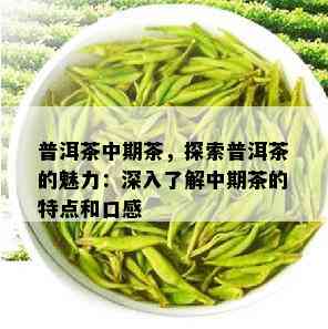 普洱茶中期茶，探索普洱茶的魅力：深入了解中期茶的特点和口感