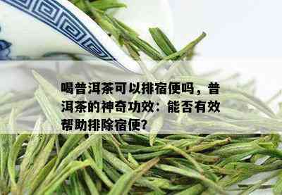 喝普洱茶可以排宿便吗，普洱茶的神奇功效：能否有效帮助排除宿便？