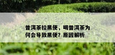 普洱茶拉黑便，喝普洱茶为何会导致黑便？原因解析