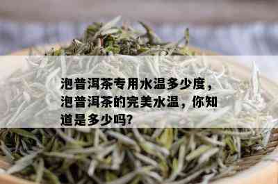 泡普洱茶专用水温多少度，泡普洱茶的完美水温，你知道是多少吗？