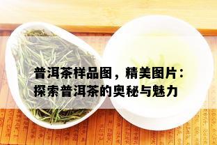 普洱茶样品图，精美图片：探索普洱茶的奥秘与魅力