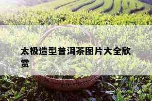 太极造型普洱茶图片大全欣赏