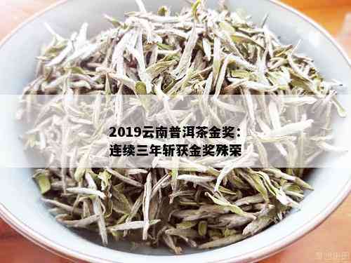 2019云南普洱茶金奖：连续三年斩获金奖殊荣