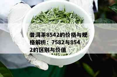 普洱茶8542的价格与规格解析：7582与8542的区别与价值