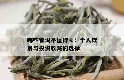 哪些普洱茶值得囤：个人饮用与投资收藏的选择