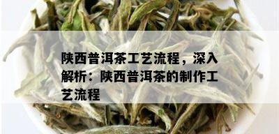 陕西普洱茶工艺流程，深入解析：陕西普洱茶的制作工艺流程