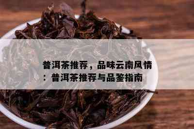 普洱茶推荐，品味云南风情：普洱茶推荐与品鉴指南