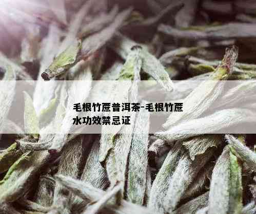 毛根竹蔗普洱茶-毛根竹蔗水功效禁忌证