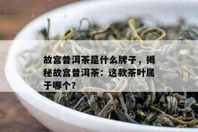 故宫普洱茶是什么牌子，揭秘故宫普洱茶：这款茶叶属于哪个？