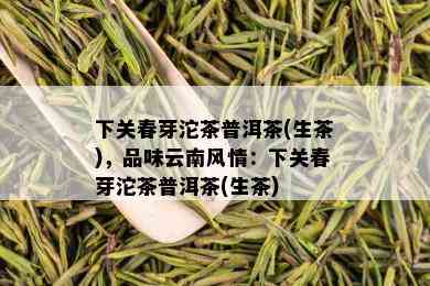 下关春芽沱茶普洱茶(生茶)，品味云南风情：下关春芽沱茶普洱茶(生茶)