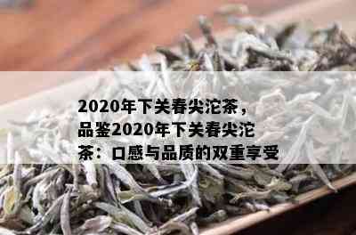 2020年下关春尖沱茶，品鉴2020年下关春尖沱茶：口感与品质的双重享受