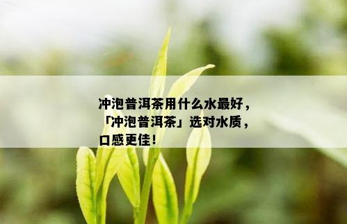 冲泡普洱茶用什么水更好，「冲泡普洱茶」选对水质，口感更佳！