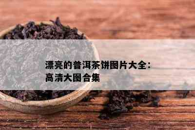 漂亮的普洱茶饼图片大全：高清大图合集