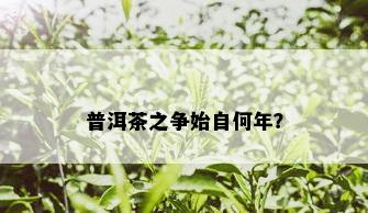 普洱茶之争始自何年？