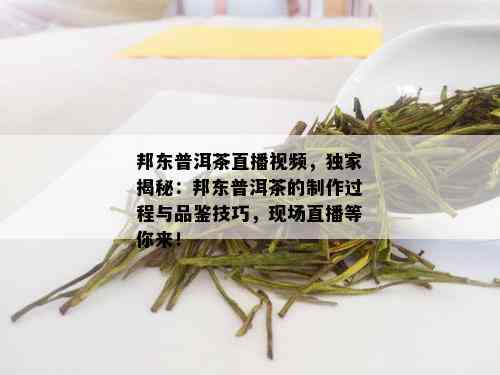 邦东普洱茶直播视频，独家揭秘：邦东普洱茶的制作过程与品鉴技巧，现场直播等你来！