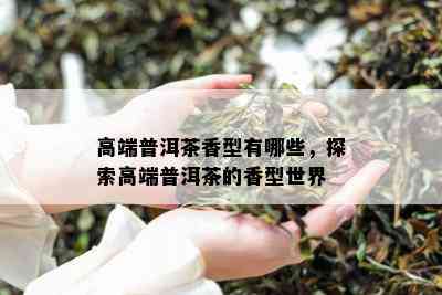 高端普洱茶香型有哪些，探索高端普洱茶的香型世界