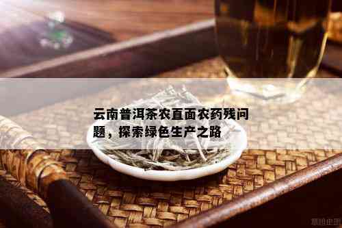 云南普洱茶农直面农药残问题，探索绿色生产之路