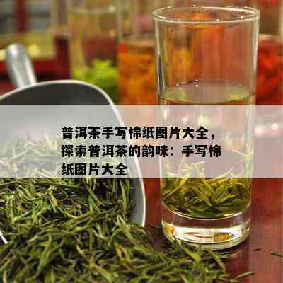 普洱茶手写棉纸图片大全，探索普洱茶的韵味：手写棉纸图片大全