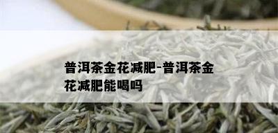 普洱茶金花减肥-普洱茶金花减肥能喝吗