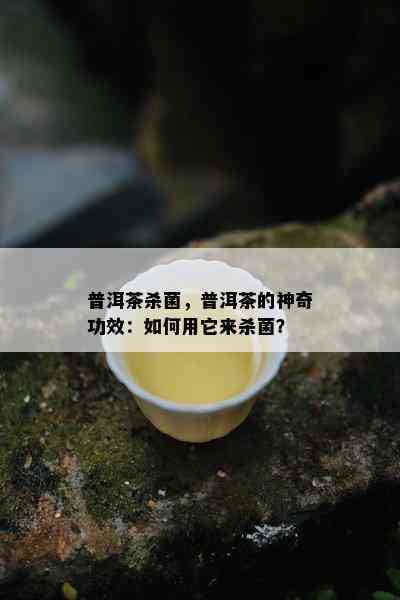 普洱茶杀菌，普洱茶的神奇功效：如何用它来杀菌？