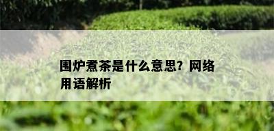 围炉煮茶是什么意思？网络用语解析