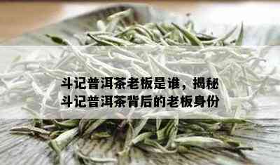 斗记普洱茶老板是谁，揭秘斗记普洱茶背后的老板身份