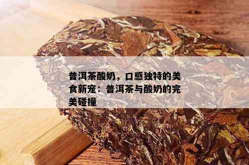 普洱茶酸奶，口感独特的美食新宠：普洱茶与酸奶的完美碰撞