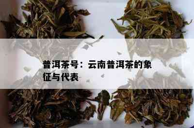 普洱茶号：云南普洱茶的象征与代表