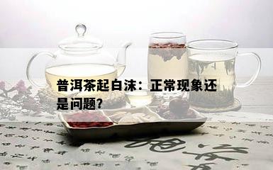 普洱茶起白沫：正常现象还是问题？