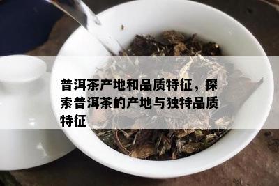 普洱茶产地和品质特征，探索普洱茶的产地与独特品质特征