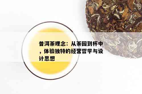 普洱茶理念：从茶园到杯中，体验独特的经营哲学与设计思想