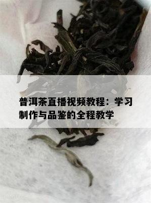 普洱茶直播视频教程：学习制作与品鉴的全程教学