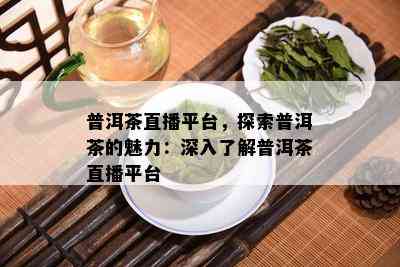 普洱茶直播平台，探索普洱茶的魅力：深入了解普洱茶直播平台