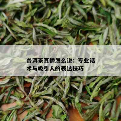 普洱茶直播怎么说：专业话术与吸引人的表达技巧