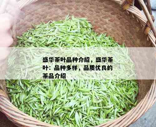 盛华茶叶品种介绍，盛华茶叶：品种多样，品质优良的茶品介绍