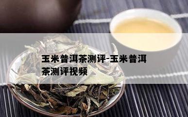 玉米普洱茶测评-玉米普洱茶测评视频