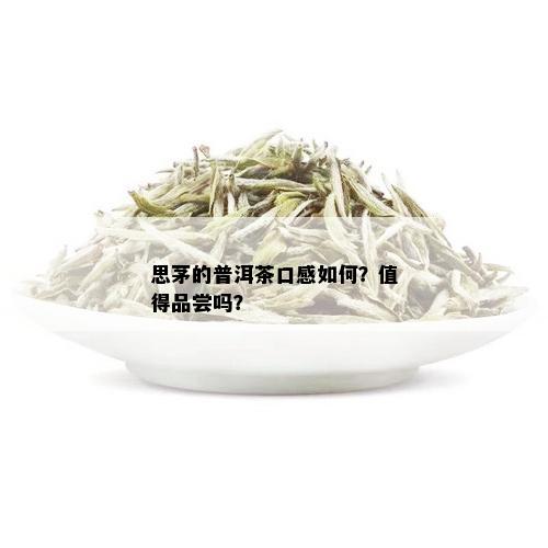 思茅的普洱茶口感如何？值得品尝吗？