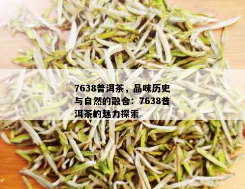 7638普洱茶，品味历史与自然的融合：7638普洱茶的魅力探索