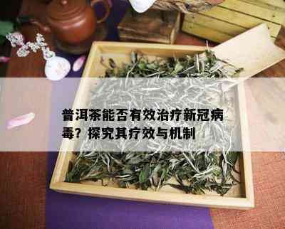 普洱茶能否有效治疗新冠病？探究其疗效与机制