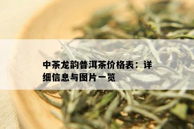 中茶龙韵普洱茶价格表：详细信息与图片一览