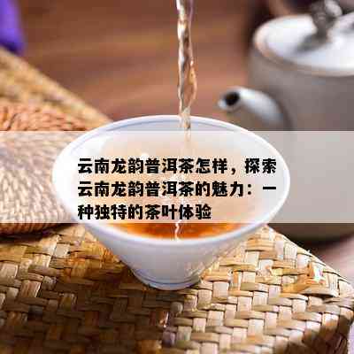 云南龙韵普洱茶怎样，探索云南龙韵普洱茶的魅力：一种独特的茶叶体验