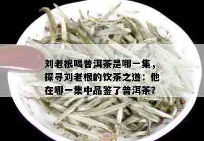 刘老根喝普洱茶是哪一集，探寻刘老根的饮茶之道：他在哪一集中品鉴了普洱茶？