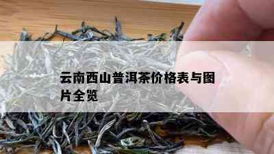 云南西山普洱茶价格表与图片全览