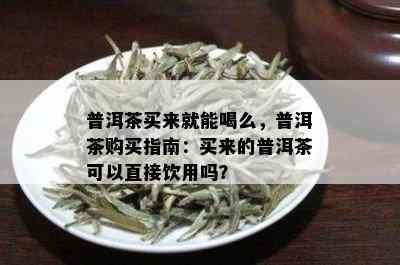 普洱茶买来就能喝么，普洱茶购买指南：买来的普洱茶可以直接饮用吗？