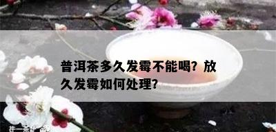 普洱茶多久发霉不能喝？放久发霉如何处理？