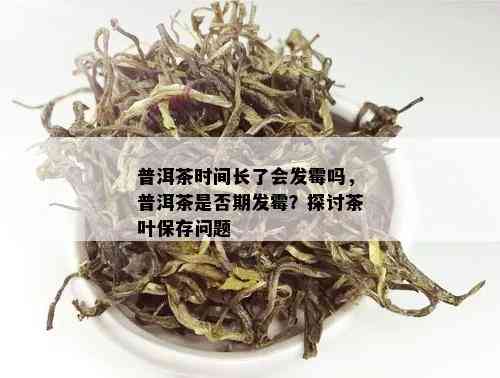 普洱茶时间长了会发霉吗，普洱茶是否期发霉？探讨茶叶保存问题